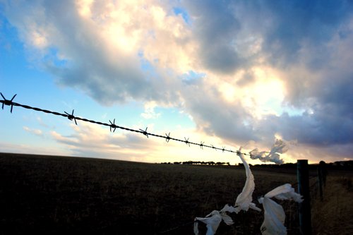 Barbedwire.jpg