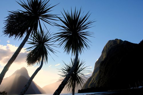 NZMilfordSound1.jpg