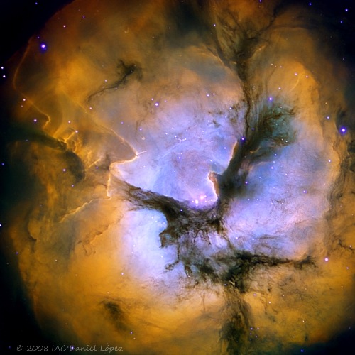 TrifidNebula.jpg
