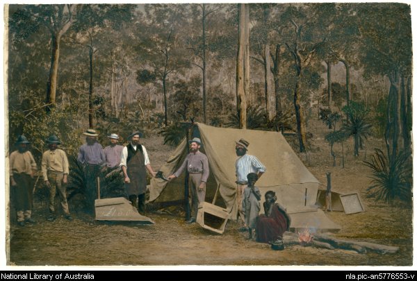 DaintreeR1GoldDiggers.jpg