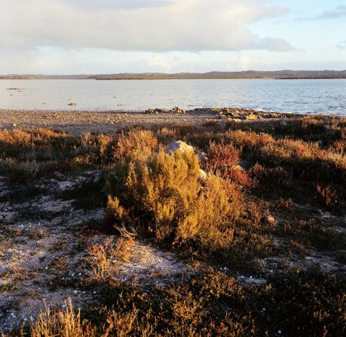 Coorong1.jpg