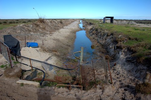 irrigationLake Alexandrina.jpg