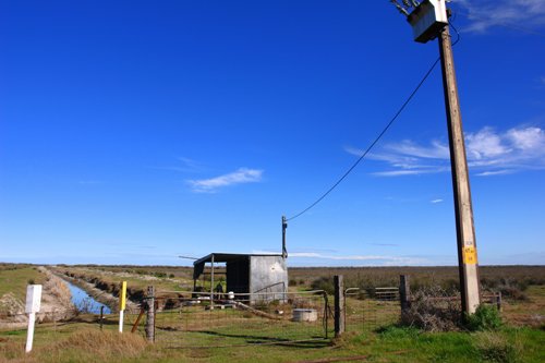 irrigationLake Alexandrina1.jpg