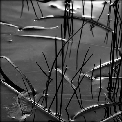 GlattauerSBridgewater#1.jpg