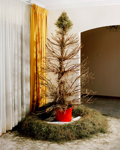 ParkeTChristmasTreeBucket.jpg