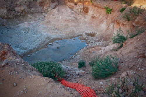 09February25_February 2009_009.jpg