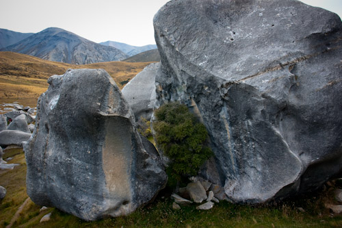 09March28_New Zealand_020.jpg