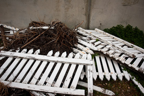 fence Port Adelaide.jpg