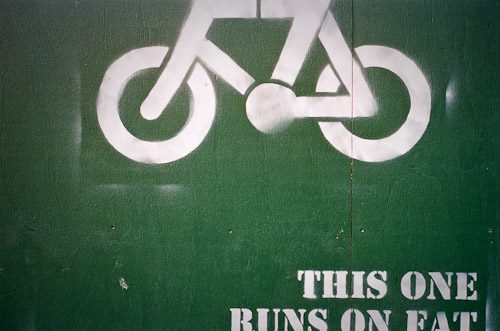 09June15_New Zealand_203.jpg