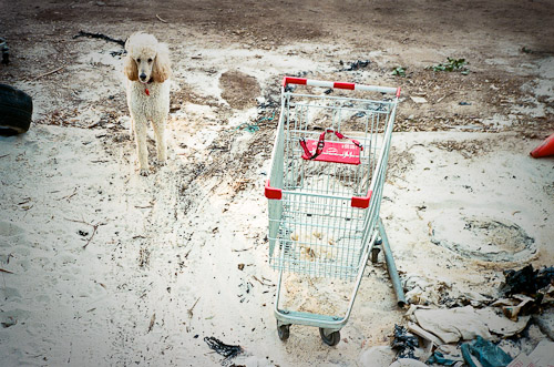 09June15_New Zealand_115.jpg