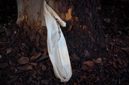 09August05_Broken Hill, Port Adelaide,  parklands_073.jpg