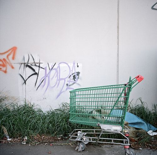 09June15_New Zealand_304.jpg