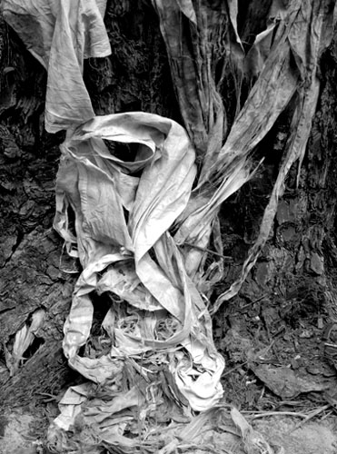 BrowneAFrom the Periphery#09.jpg