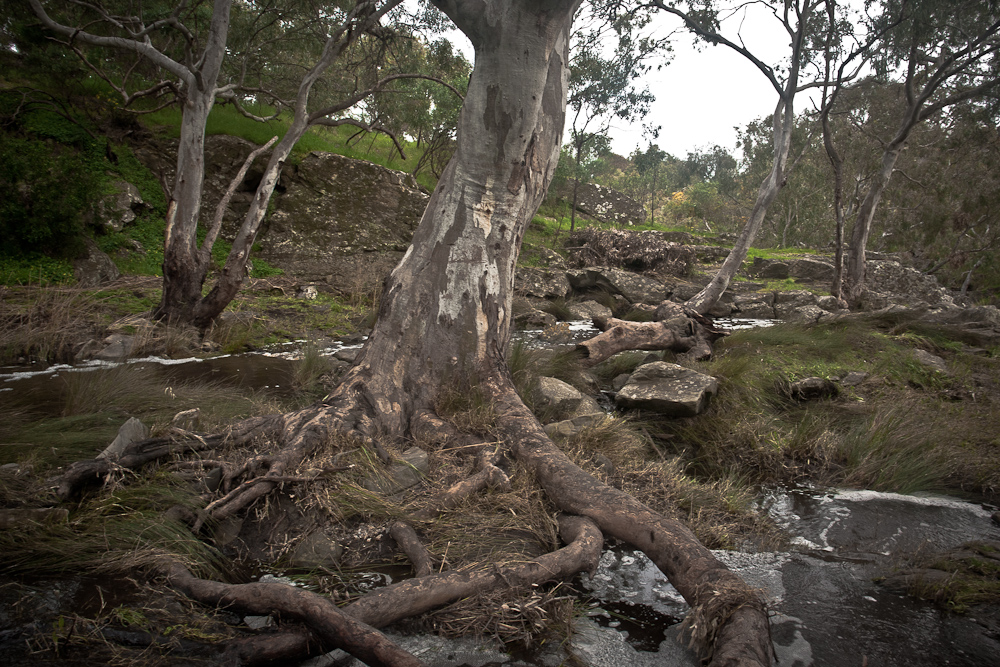 Currency Creek _.jpg