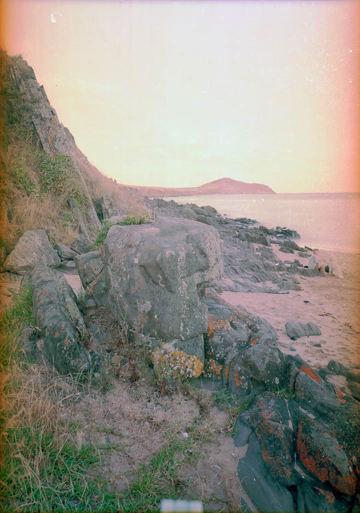 pink landscape.jpg
