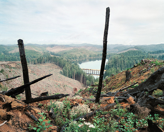 UnderdownPOregonClearcut.jpg
