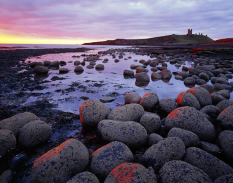 CornishJDunstanburgh.jpg