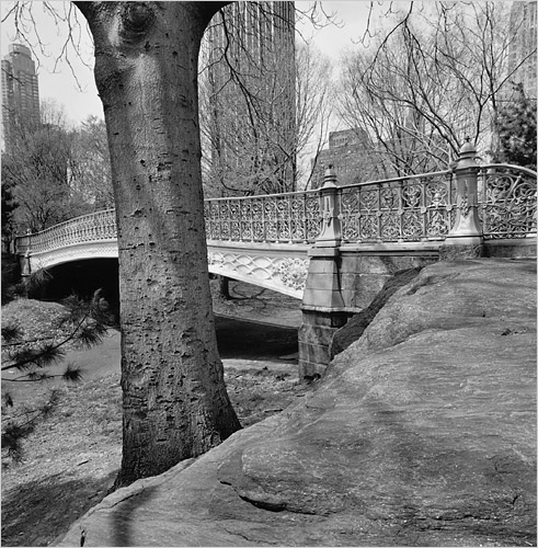 FriedlanderLCentralPark .jpg