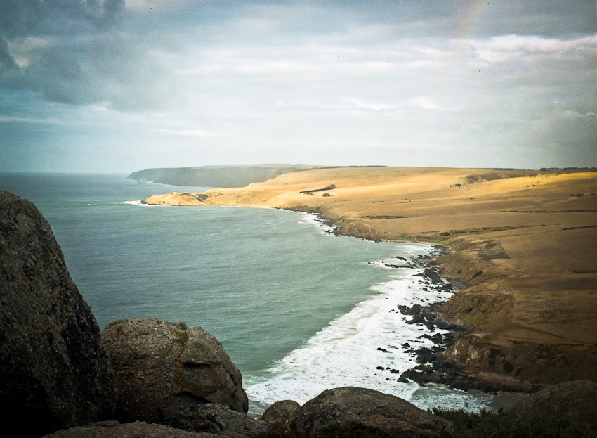 morning, PetrelCove.jpg