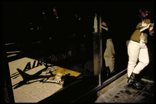 WinograndGcolour work.jpg