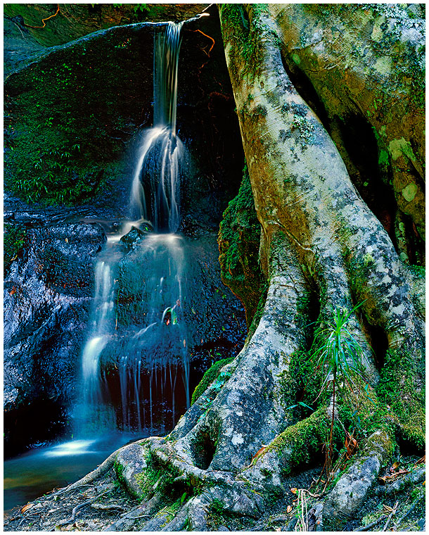 MetcalfLTwister Caynon.jpg