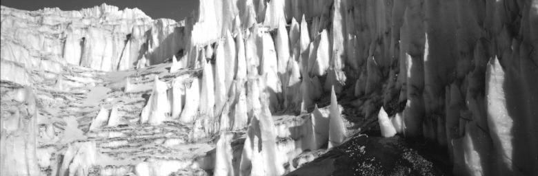 Nwewman Antartica .png