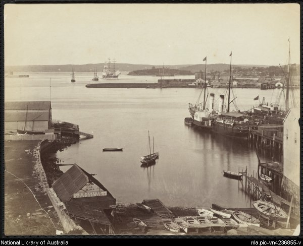 BaylissCSydneyHarbour.jpg