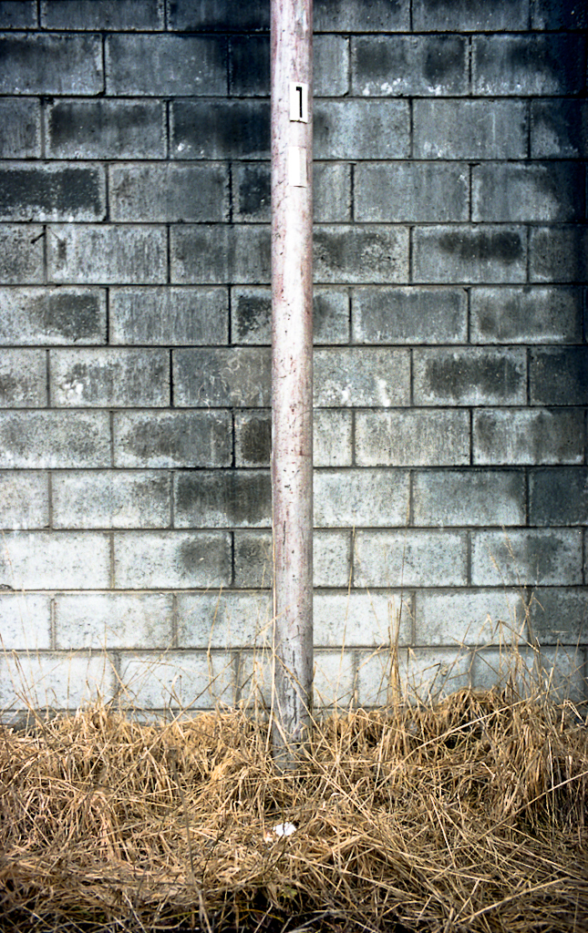 Queenstownpole.jpg