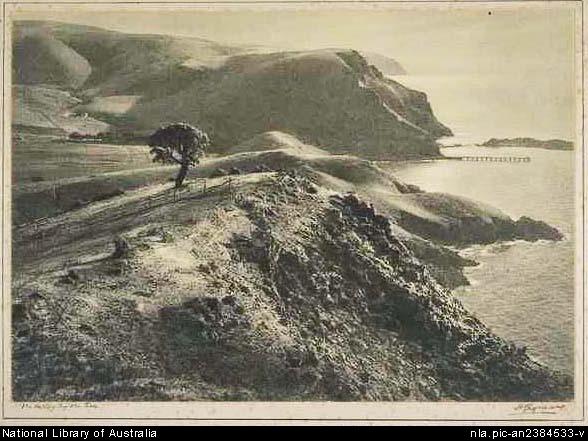 Cazneau1.jpg