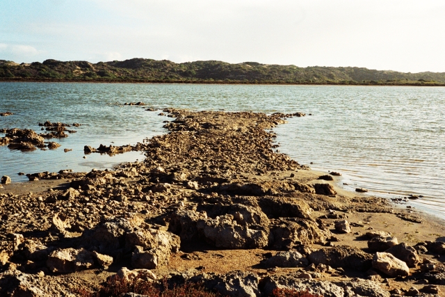 Coorong.jpg