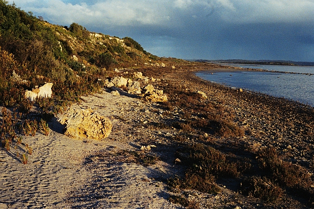 Coorong4.jpg