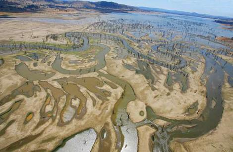 DallingerLake Hume.jpg