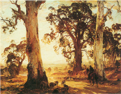 Heysen1.jpg