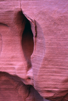 PhotographyVHFirth1.jpg