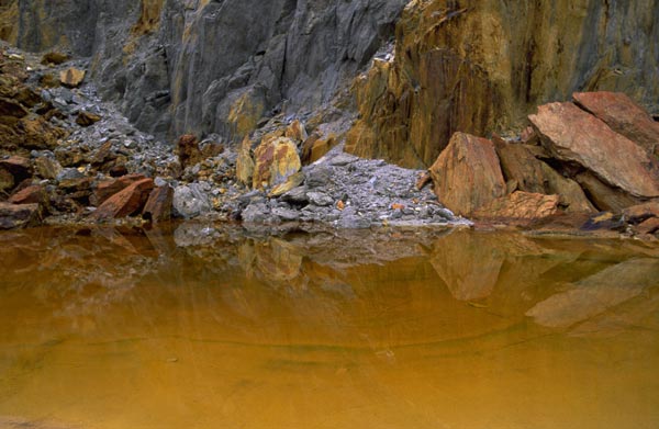 WildernessWalsh1.jpg