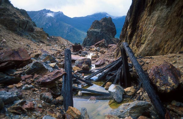 WildernessWalsh2.jpg